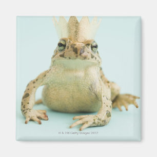 Frog wearing crown magnet