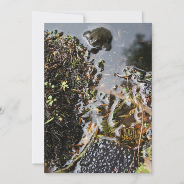 Frog with Frog Spawn Invitation (Front)