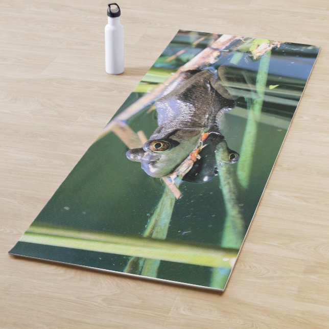 Frog Yoga Mat (In Situ)