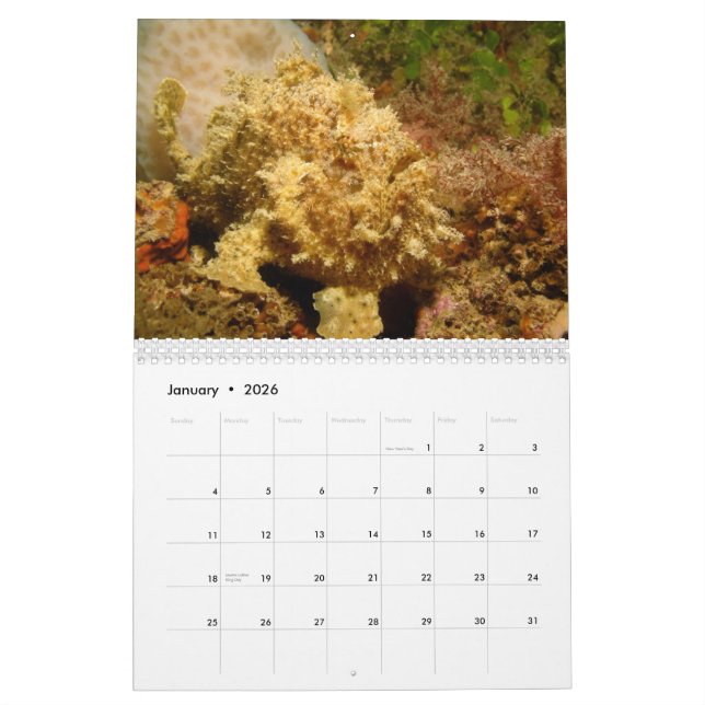 Frogfish 2012 Calendar (Jan 2026)