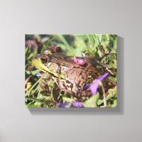 Froggy 