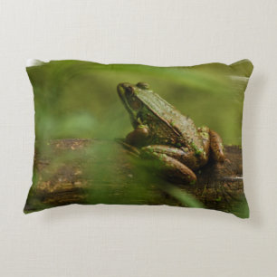 Froggy Decorative Cushion