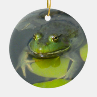 Froggy Ornament