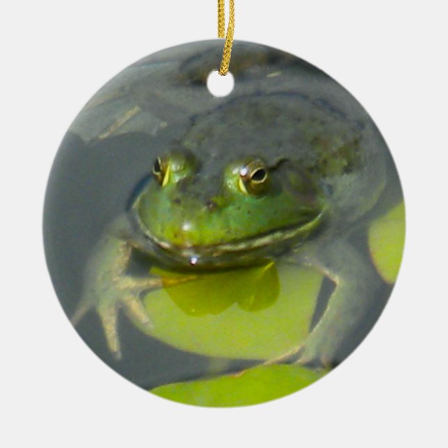 Froggy Ornament (Front)