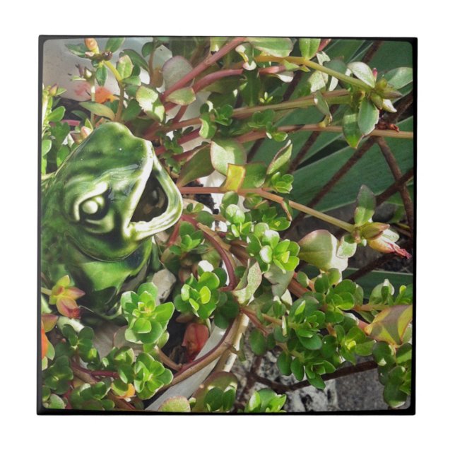 Froggy Tile (Front)