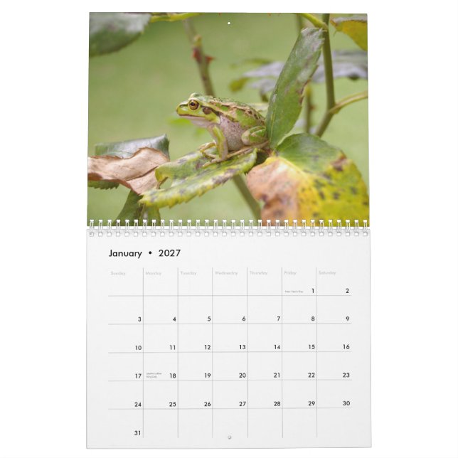 Frogs 2009 calendar (Jan 2027)