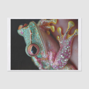 Frogs and Diamonds10 Tissue Paper