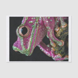 Frogs and Diamonds2 Tissue Paper