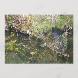 Frogs and Frog Spawn in a Pond Invitation