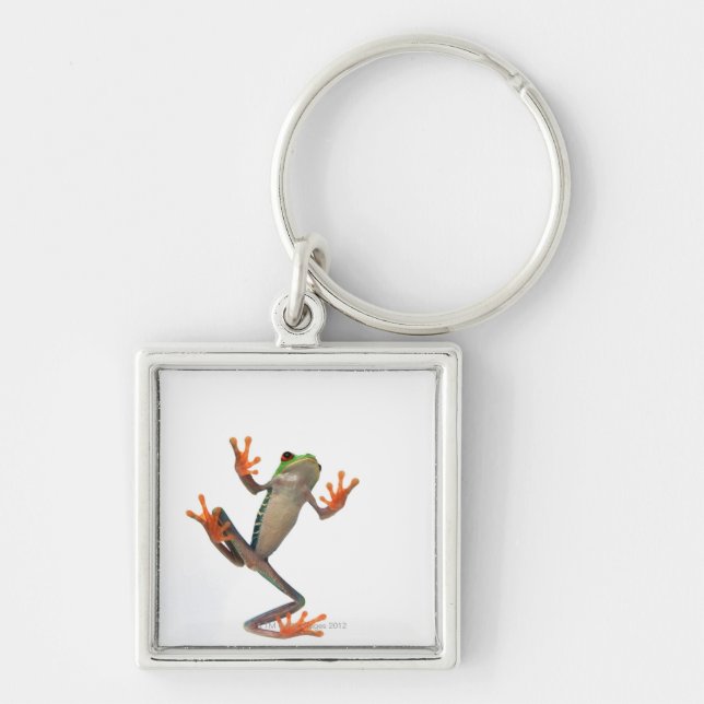 Frogs belly key ring (Front)