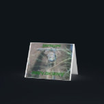 Frogs, Grandson Birthday Card<br><div class="desc">Nature animal photography,  of frogs,  and a birthday saying for a grandson comprise this card for the reptile lover.</div>