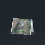 Frogs, Grandson Birthday Card<br><div class="desc">Nature animal photography,  of frogs,  and a birthday saying for a grandson comprise this card for the reptile lover.</div>