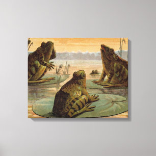 Frogs Lily Pads Moon Illustration Canvas Print