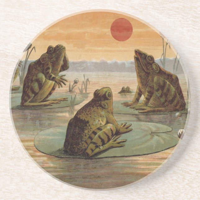 Frogs Lily Pads Moon Illustration Coaster (Front)
