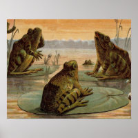 Frogs Lily Pads Moon Illustration