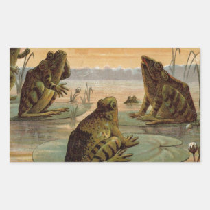 Frogs Lily Pads Moon Illustration Rectangular Sticker