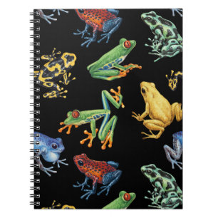 Frogs on black notebook