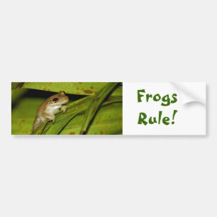 Frogs Rule Bumper Sticker
