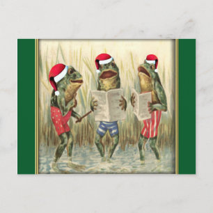 Frogs Singing Merry Christmas Holiday Postcard
