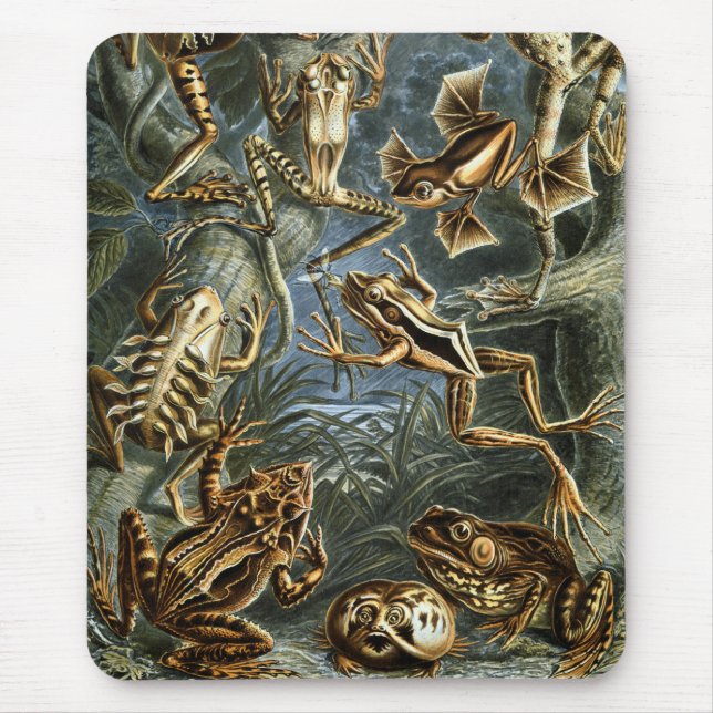 Frogs & Toads Mouse Mat (Front)