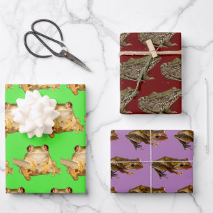 Frogs Wrapping Paper Sheets