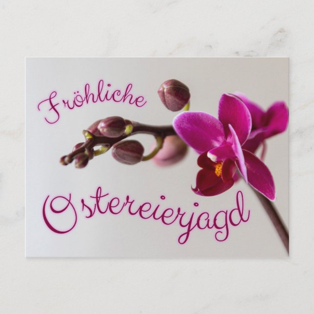 Frohe Ostern mit fröhlicher Ostereierjagd! Postcard (Front)