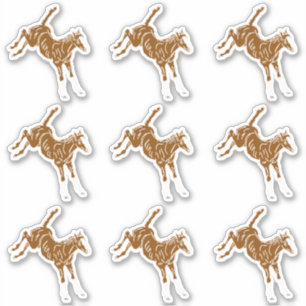 Frolicking Horse Foal - transp uni-color 9x custom