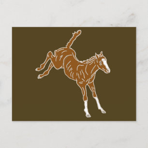 Frolicking Horse Foal - transparent uni-colour. Postcard