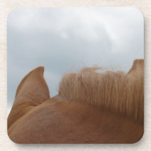 From a Horse's View, Horse Ears and Neck Coaster