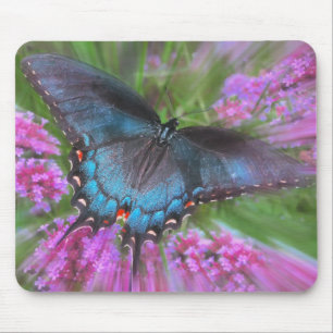 From above mouse mat