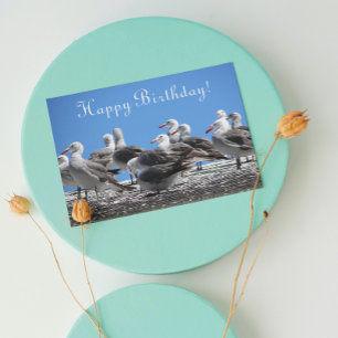 From All Flock of Seagulls Photo Birthday Card