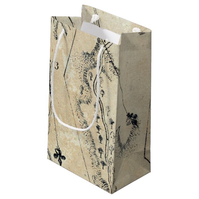 From Annapolis to Fredericksburg 68 Small Gift Bag (Back Angled)
