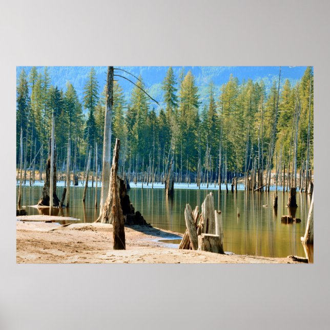 From below the water line the deadheads rise poster (Front)