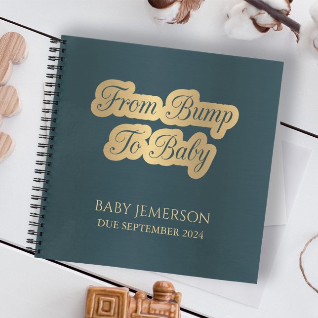 From Bump to Baby Keepsake Pregnancy Journal (Creator Uploaded)