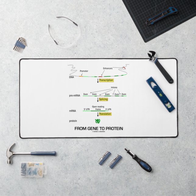 From Gene To Protein Molecular Biology Desk Mat (Workstation)
