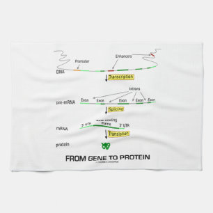 From Gene To Protein Tea Towel