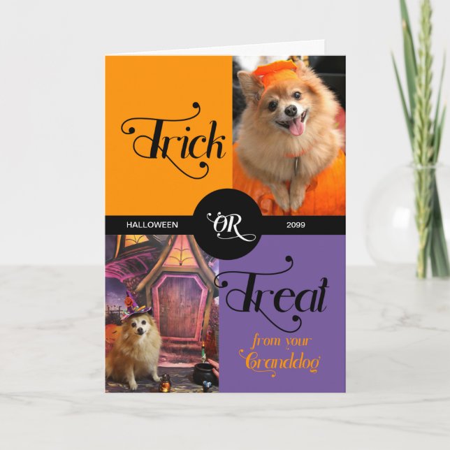 from GRANDDOG Trick or Treat Halloween Two Photos Holiday Card (Front)