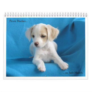 From Harlan to Safe Hands Calendar
