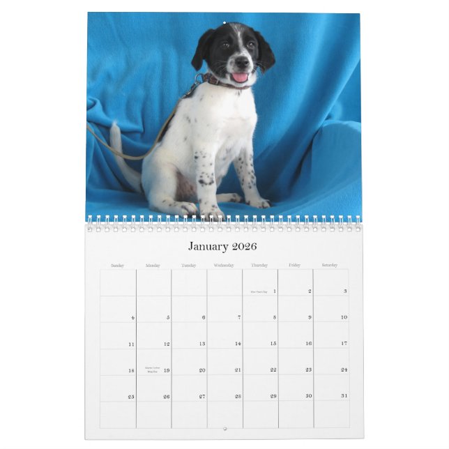 From Harlan to Safe Hands Calendar (Jan 2026)