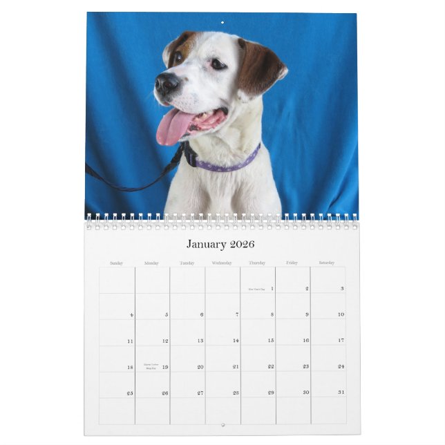 From Hazard to Safe Hands Calendar (Jan 2026)