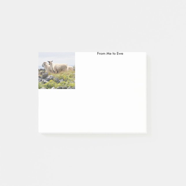 From Me to Ewe Post-it Notes (Front)