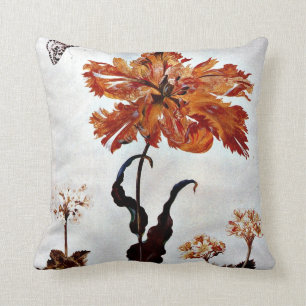 From Metamorphosis Insectorum Surinamensium Cushion