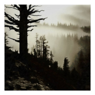 From Mountain To Moody Mist Of Morning Treescape Poster