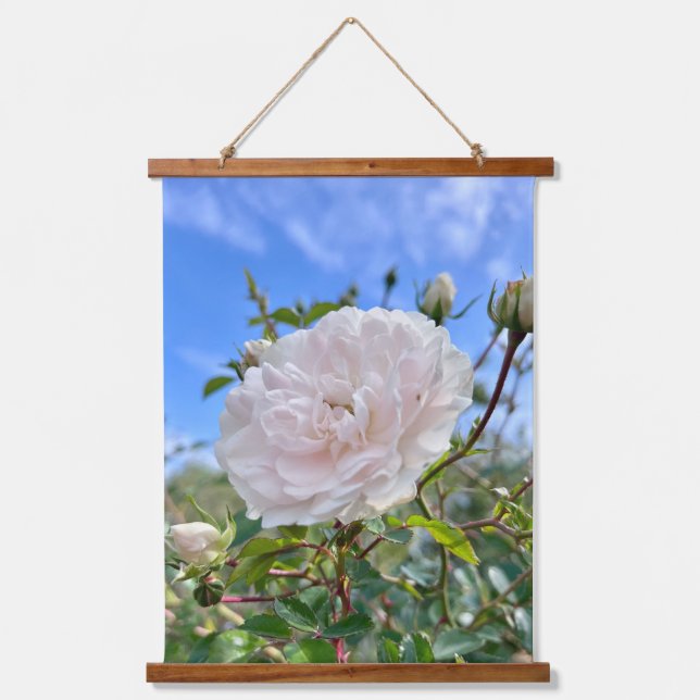 From my mom's garden hanging tapestry (Front)