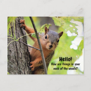 From My Neck of the Woods to Yours Postcard