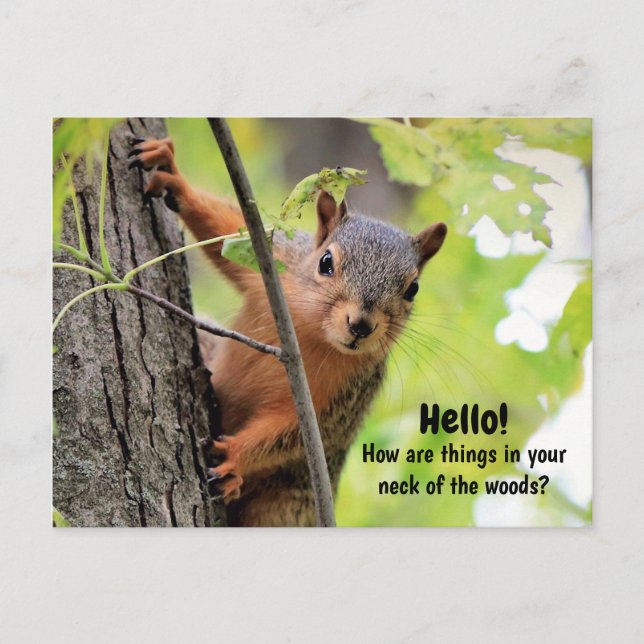 From My Neck of the Woods to Yours Postcard (Front)