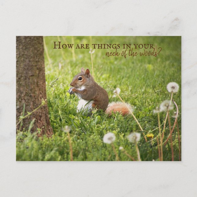 From My Neck of the Woods to Yours Postcard (Front)