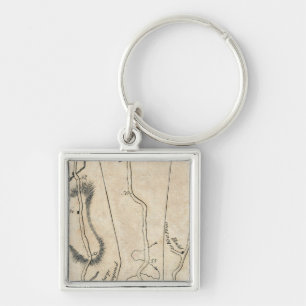 From New York to Poughkeepsie 11 Key Ring