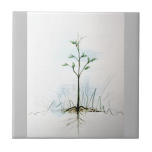 From One Little Seed . . . . Tile