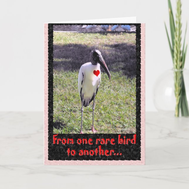 From one rare bird holiday card (Front)